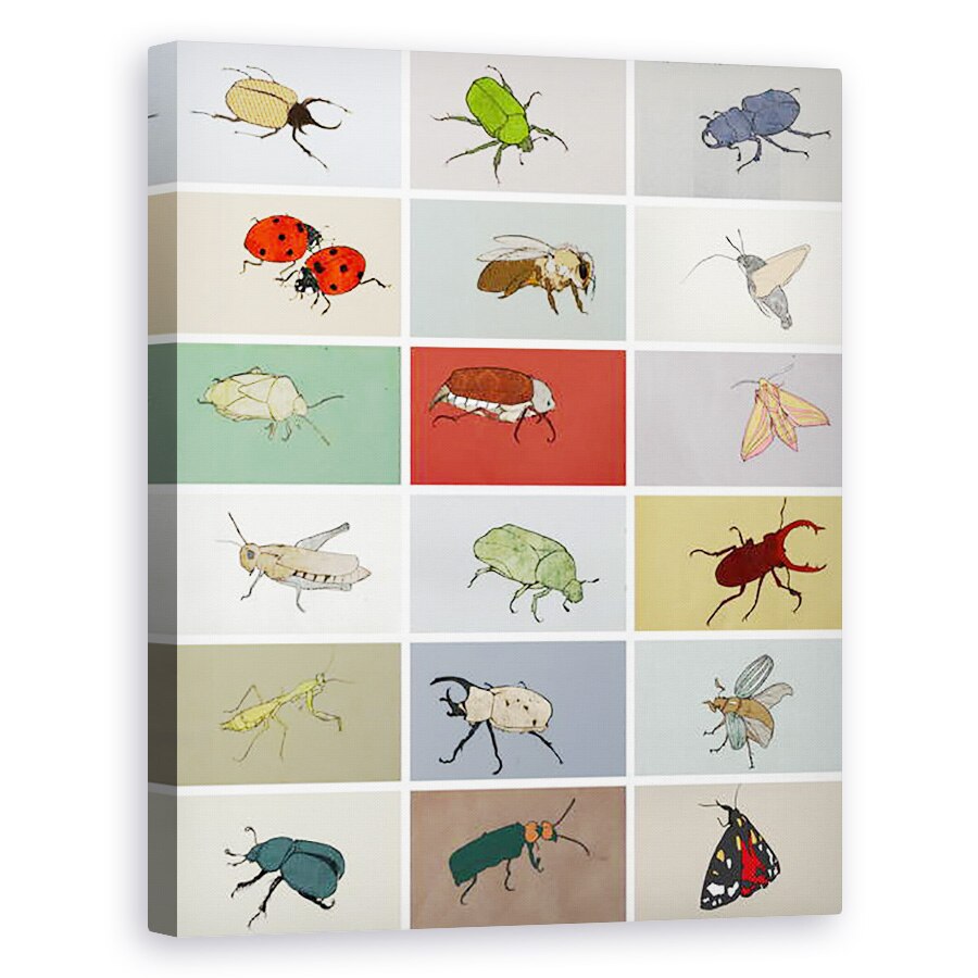 Tablou canvas - Eliza Southwood - insecte, 60 x 75 cm