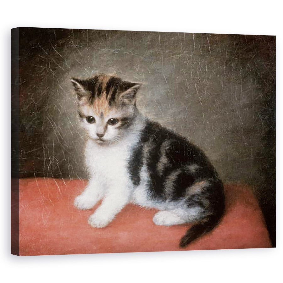 Tablou canvas - George Stubbs - Pisicuta drei Ann White, 60 x 75 cm