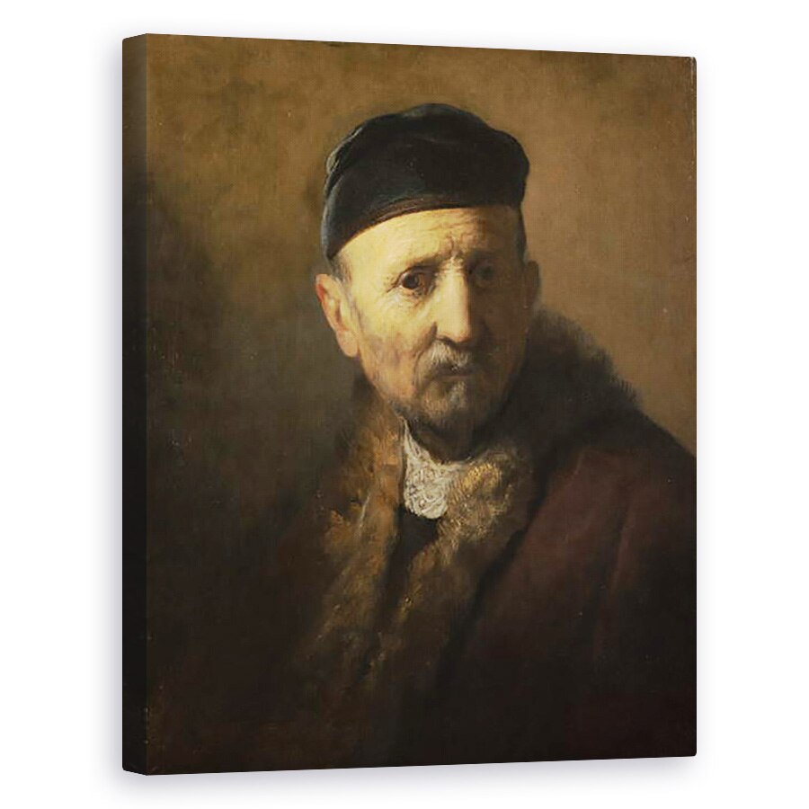 Tablou canvas - Rembrandt Harmensz van Rijn - Tronie a unui batran, 40 x 50 cm