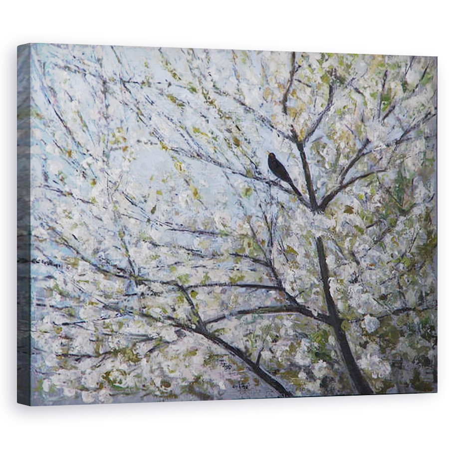 Tablou canvas - Ruth Addinall - Blackbird cantand in Cherry Blossom, 40 x 50 cm