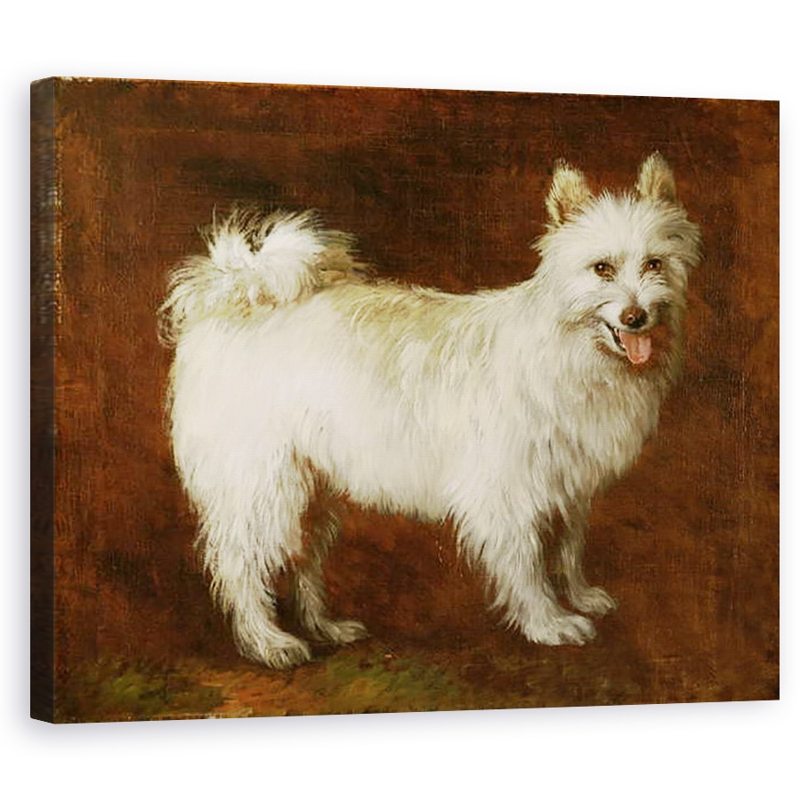 Tablou canvas - Thomas Gainsborough - Spitz Dog, 80 x 100 cm