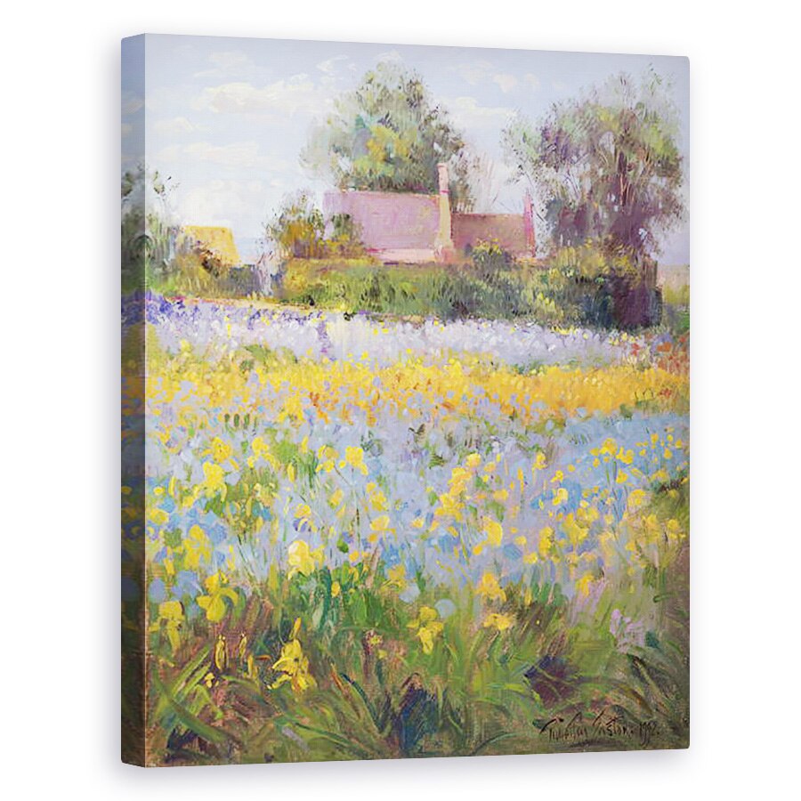 Tablou canvas - Timothy Easton - Casute inchise in Campul Iris, 40 x 50 cm