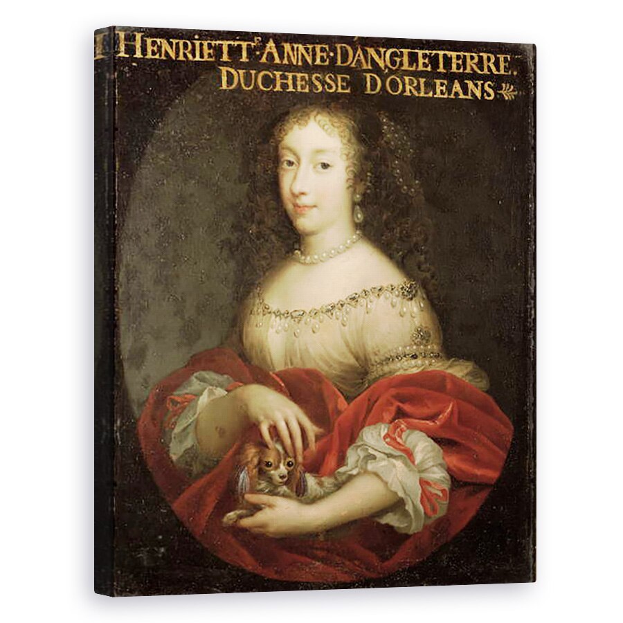 Tablou canvas - Scoala Franceza - Henrietta Anne 1644-70 Ducesa de Orleans, 40 x 50 cm