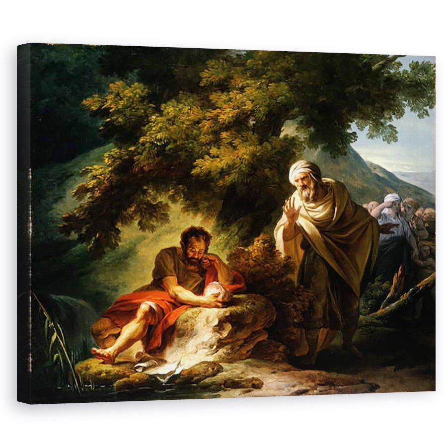 Tablou canvas - Francois Andre Vincent - Democrit printre abderitani, 40 x 50 cm