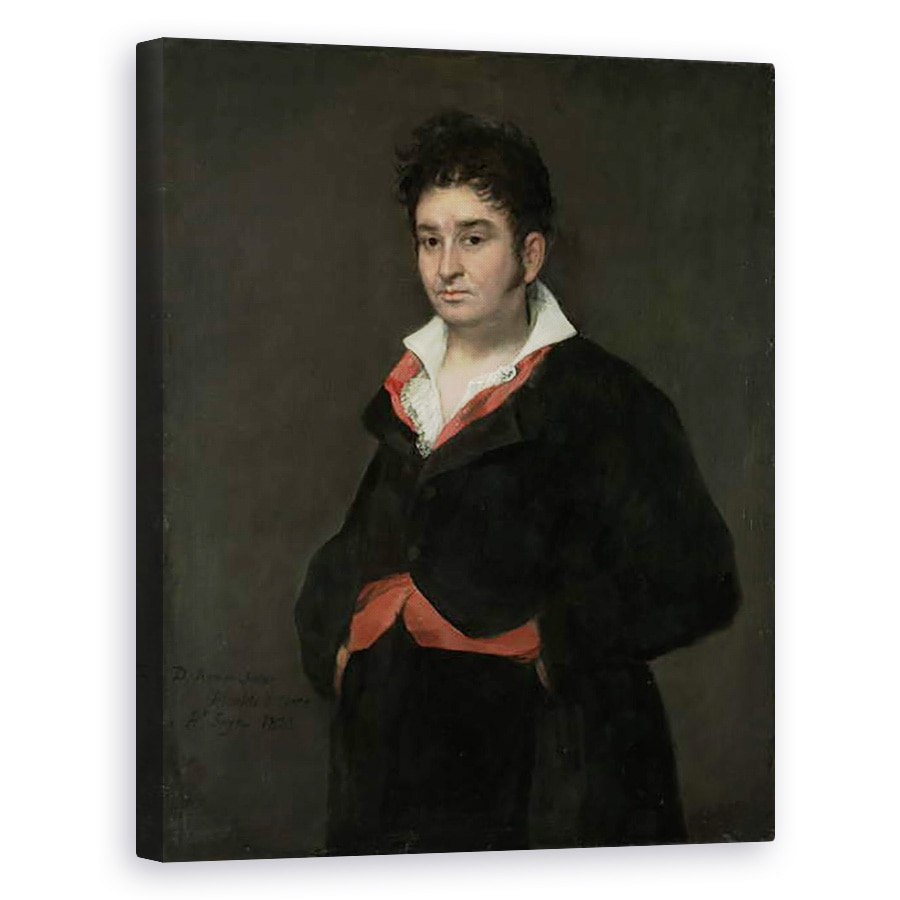 Tablou canvas - Francisco Jose de Goya y Lucientes - Portret De Don Ramon Satue, 40 x 50 cm