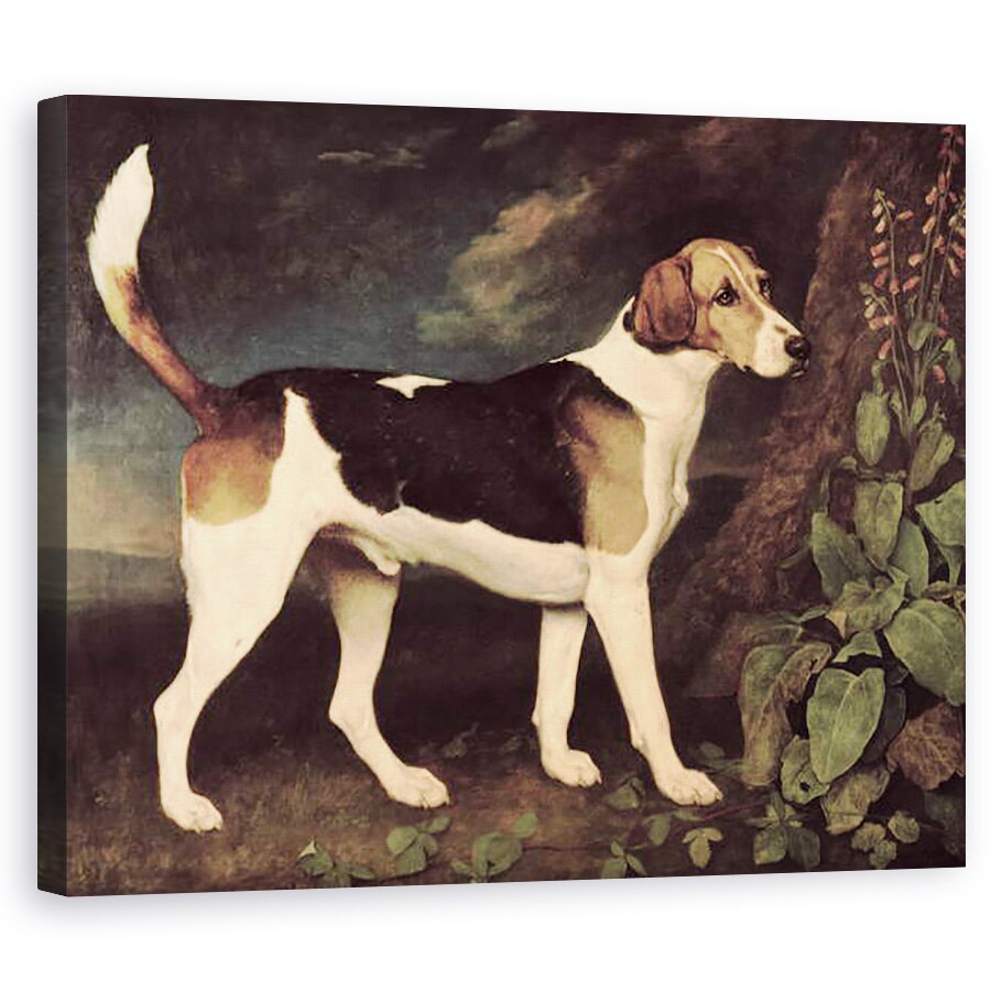 Tablou canvas - George Stubbs - Ringwood, un Brocklesby Foxhound, 80 x 100 cm