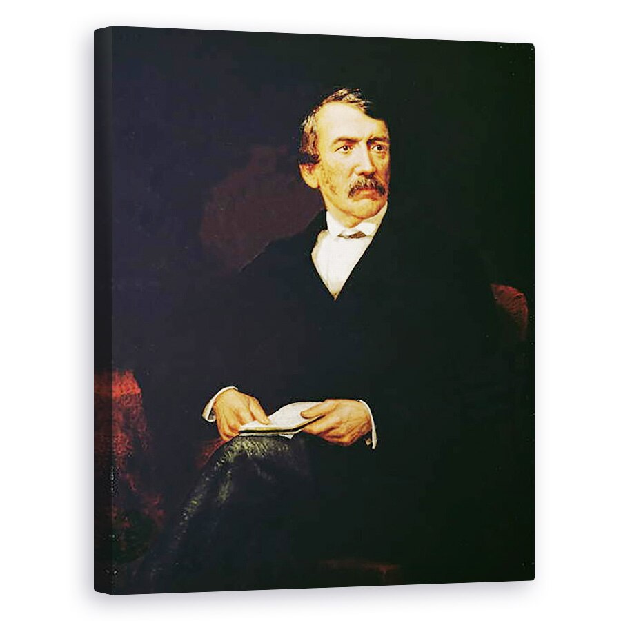 Tablou canvas - Frederick Havill - Portretul lui Livingstone 1813-1873, 60 x 75 cm