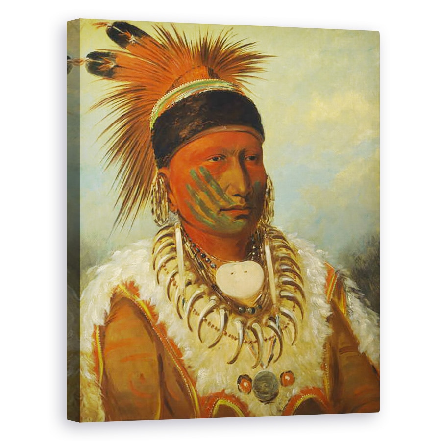 Tablou canvas - George Catlin - Norul Alb, seful sefului Iowas, 80 x 100 cm