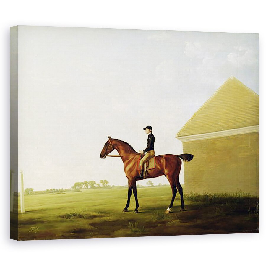 Tablou canvas - George Stubbs - Turf, 40 x 50 cm