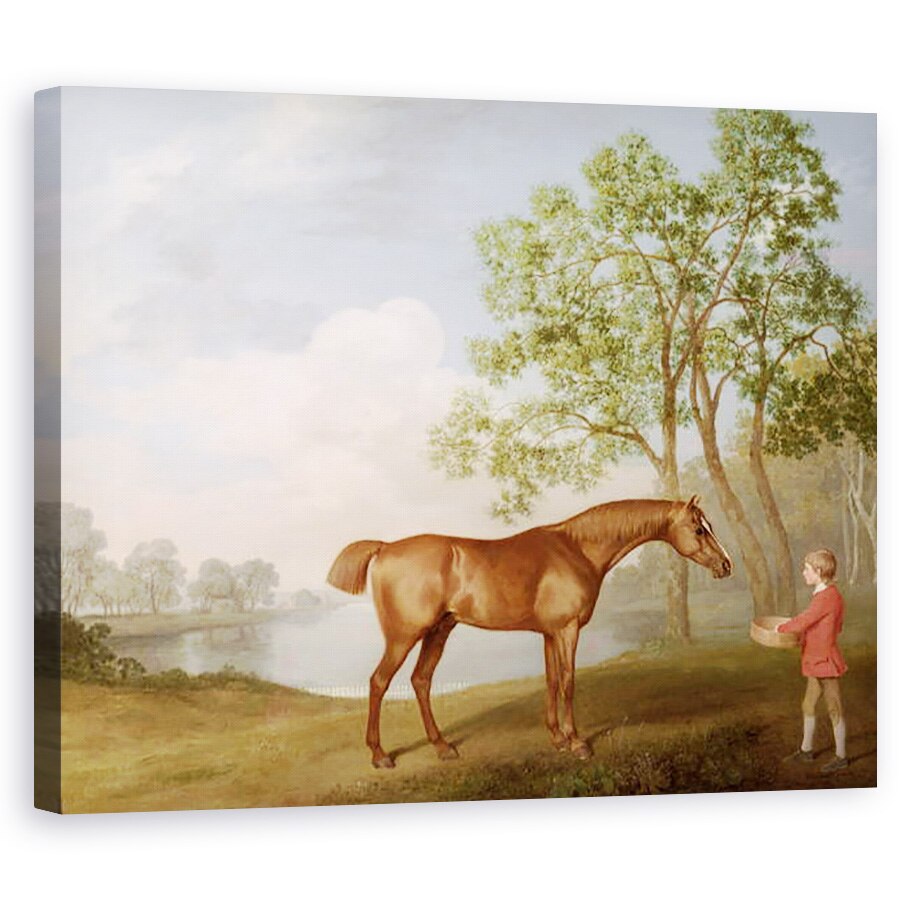 Tablou canvas - George Stubbs - Dovleac cu un Stable-Lad, 40 x 50 cm