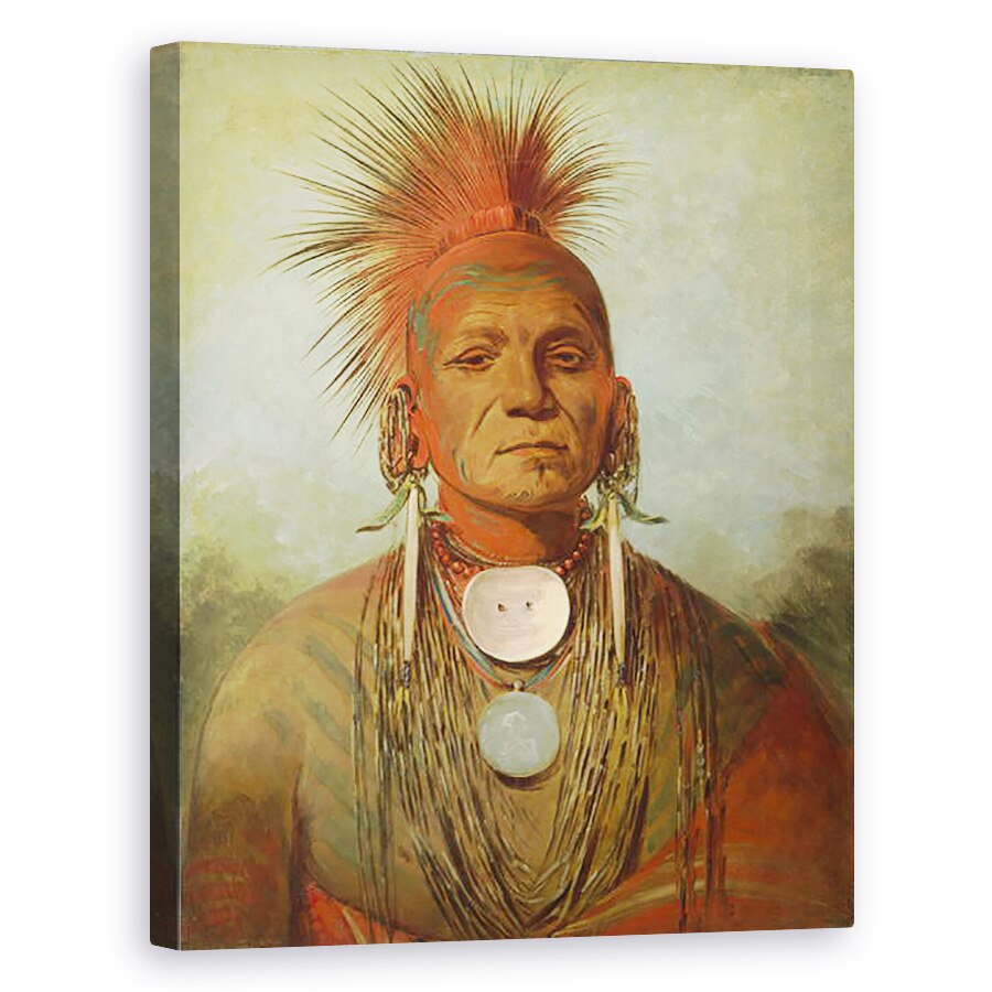 Tablou canvas - George Catlin - See-non-ty-A, un vraci din Iowa, 40 x 50 cm