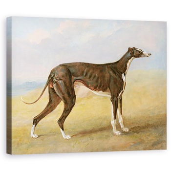Tablou canvas - George Garrard - Unul dintre ogarii castigatori ai lui George Lane Fox - ogarul negru si alb, turc, cunoscut si sub numele de Eagle, 60 x 75 cm Tablou canvas - George Garrard - Unul dintre ogarii castigatori ai lui George Lane Fox - ogarul negru si alb, turc, cunoscut si sub numele de Eagle, 60 x 75 cm
