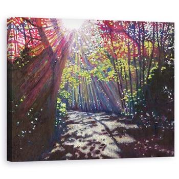 Tablou canvas - Helen White - Lumina imprastiata, 2013, 40 x 50 cm Tablou canvas - Helen White - Lumina imprastiata, 2013, 40 x 50 cm