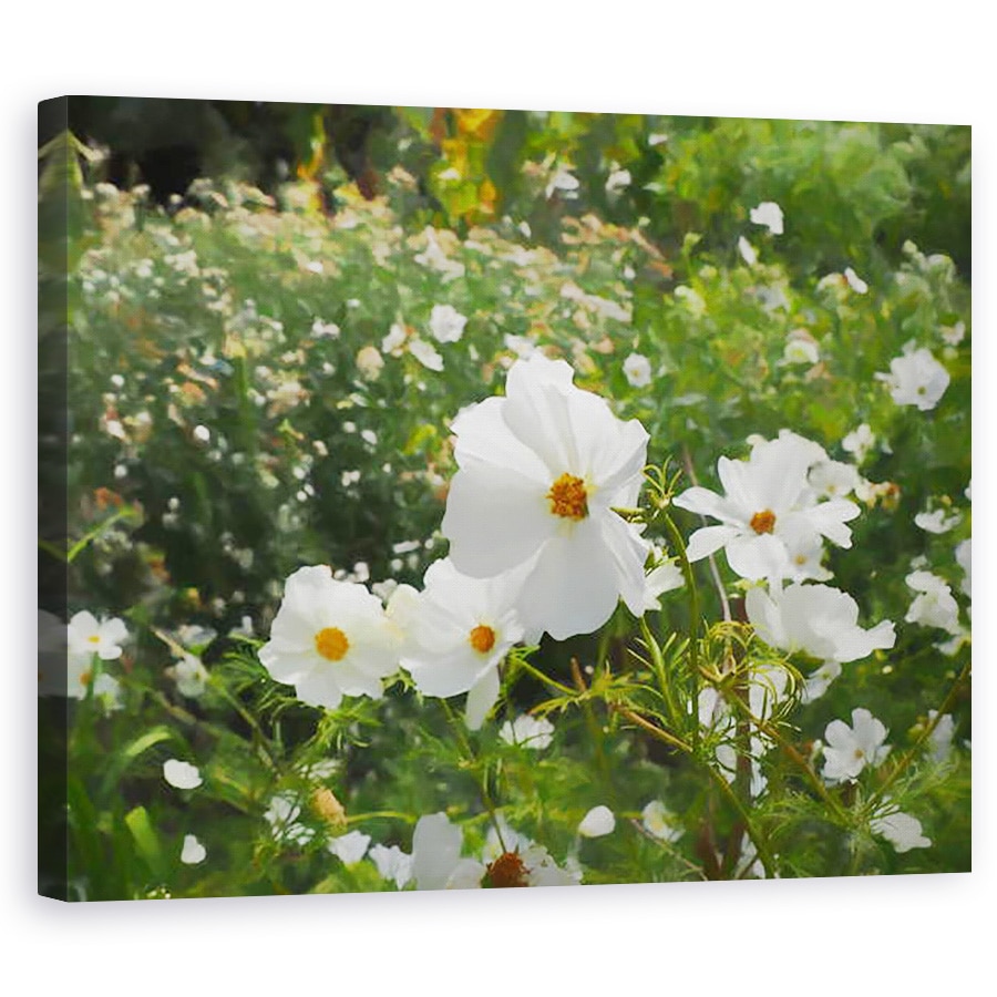 Tablou canvas - Helen White - Gradina Alba, 2018, 40 x 50 cm