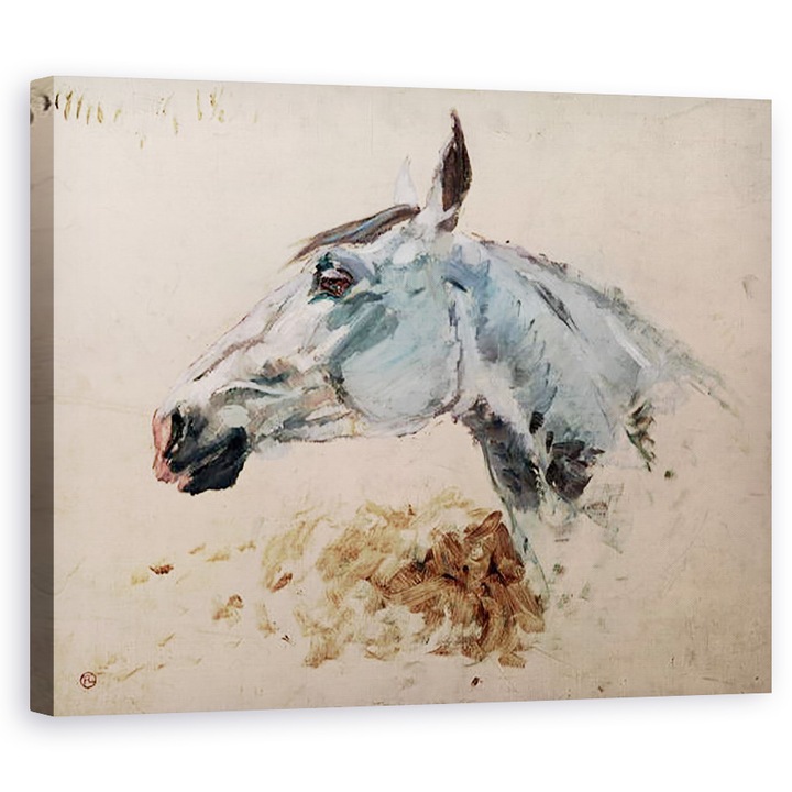 Tablou canvas - Henri de Toulouse-Lautrec - Cal alb Gazelle, 60 x 75 cm