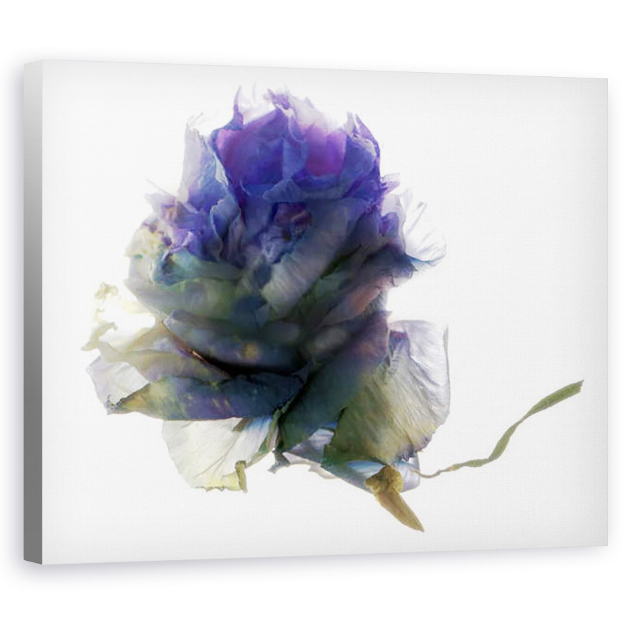 Tablou canvas - Julia McLemore - Floare I, 40 x 50 cm