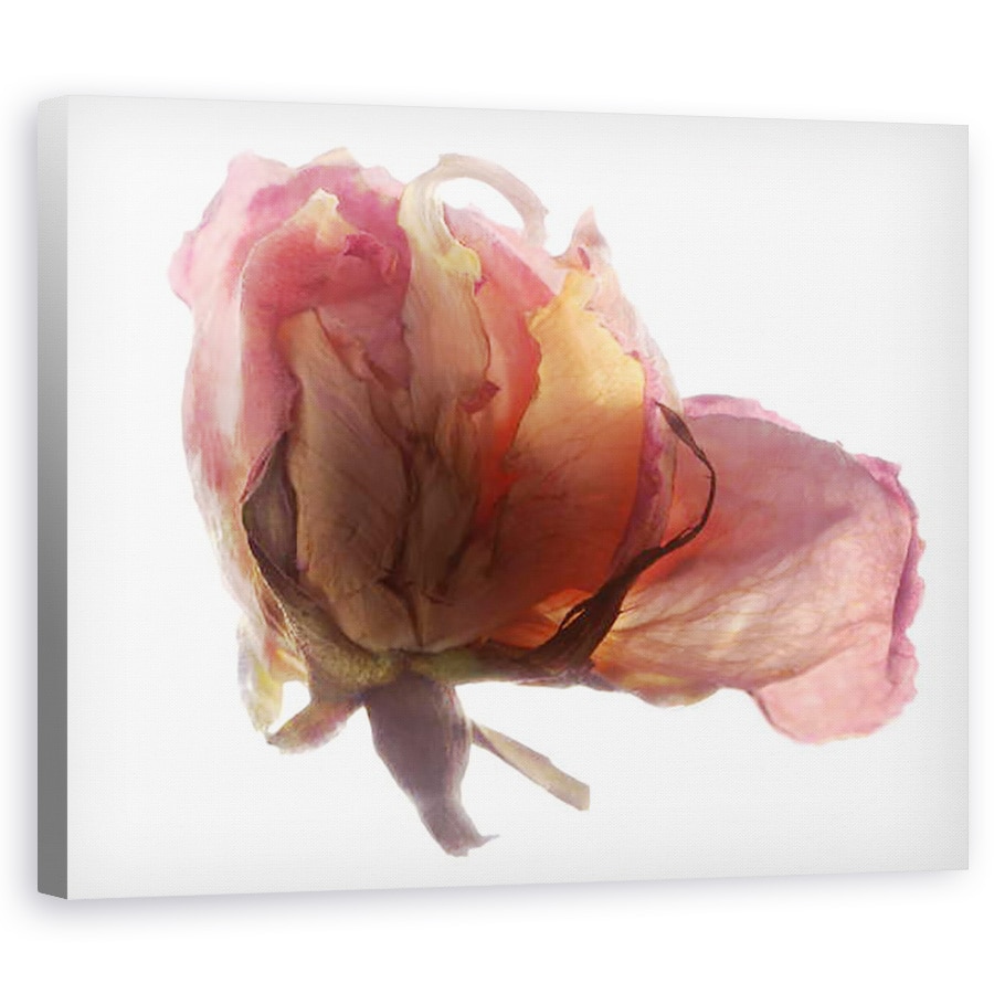 Tablou canvas - Julia McLemore - Foare II, 60 x 75 cm