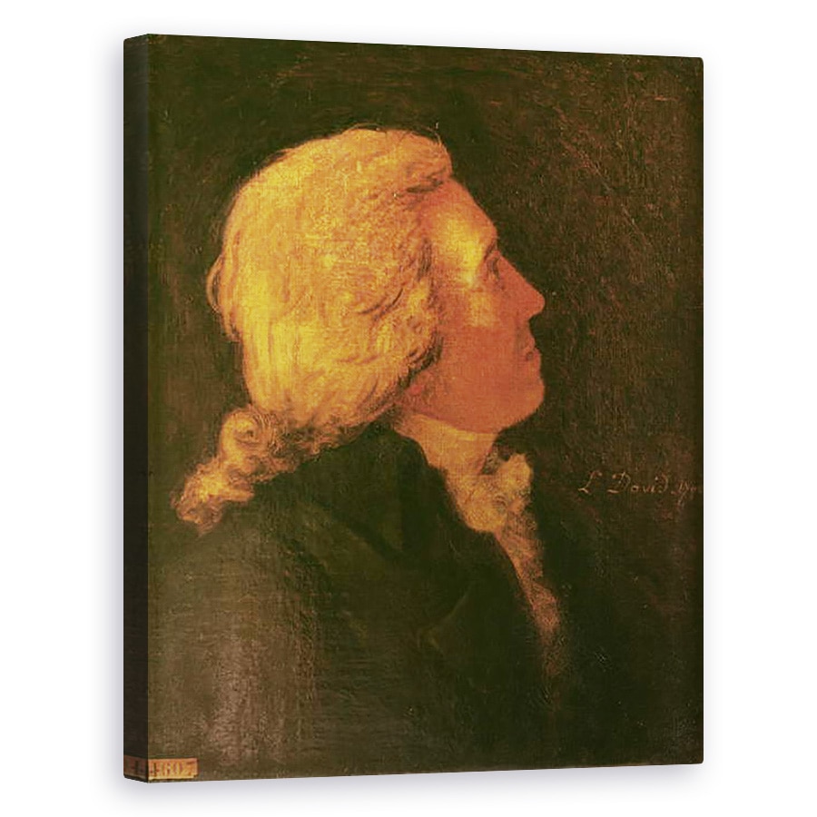 Tablou canvas - Jacques Louis David - Portretul lui Bernard Barere de Vieuzac 1755-1841 1790, 40 x 50 cm