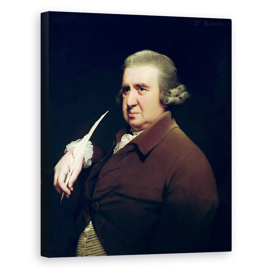 Tablou canvas - Joseph Wright of Derby - Portretul Dr. Erasmus Darwin 1731-1802 om de stiinta, inventator si poet, bunicul lui Charles Darwin, 40 x 50 cm
