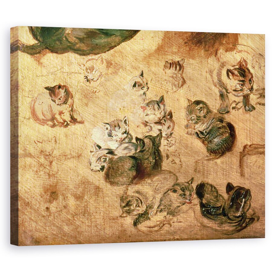 Tablou canvas - Jan Brueghel the Elder - Studiul pisicilor, 80 x 100 cm