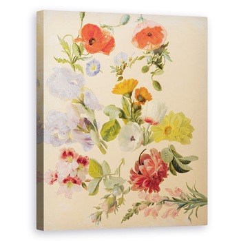 Tablou canvas - Jacques-Laurent Agasse - Studii de flori de vara, 80 x 100 cm Tablou canvas - Jacques-Laurent Agasse - Studii de flori de vara, 80 x 100 cm