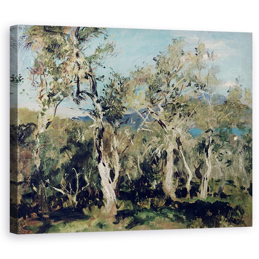 Tablou canvas - John Singer Sargent - Masline, Corfu, 80 x 100 cm