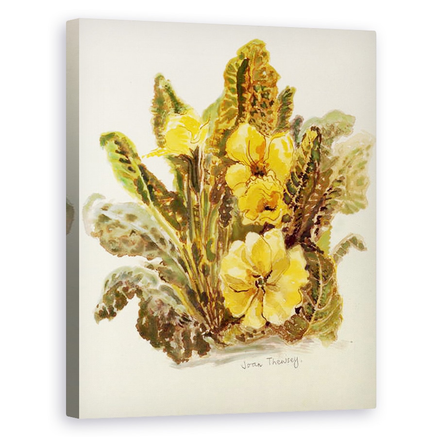 Tablou canvas - Joan Thewsey - Primrose, 2010, acuarela pe hartie lucrata manual, 80 x 100 cm