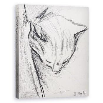 Tablou canvas - Julie Held - Pisica Dormita, 2015, 60 x 75 cm Tablou canvas - Julie Held - Pisica Dormita, 2015, 60 x 75 cm