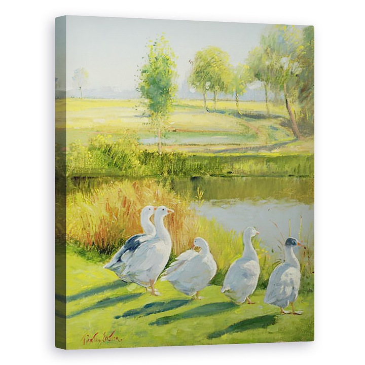Tablou canvas - Timothy Easton - Gasca, 80 x 100 cm