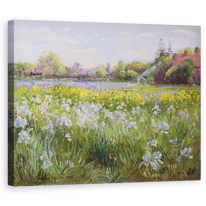 Tablou canvas - Timothy Easton - Foc de tabara si Iris, 40 x 50 cm