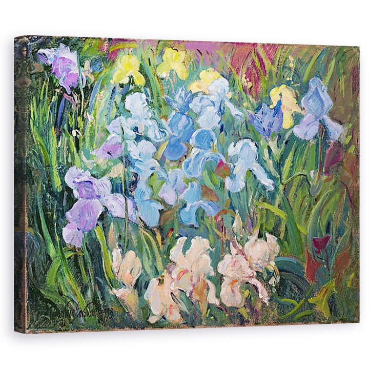 Tablou canvas - Timothy Easton - Irisuri - Roz, Albastru si auriu, 40 x 50 cm