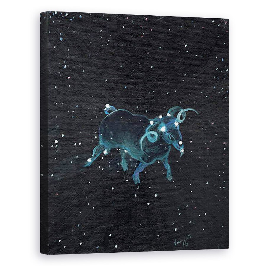 Tablou canvas - Vincent Alexander Booth - Semn stea Aires, 2016, 40 x 50 cm