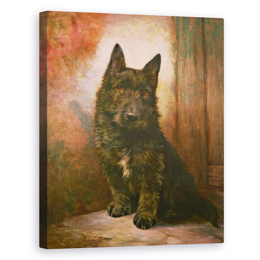 Tablou canvas - Lilian Cheviot - Scottie Puppy, 80 x 100 cm