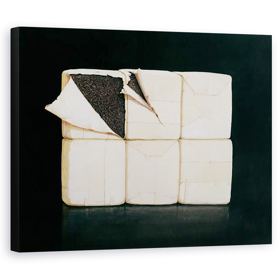 Tablou canvas - Lincoln Seligman - sase pachete stivuite, 40 x 50 cm