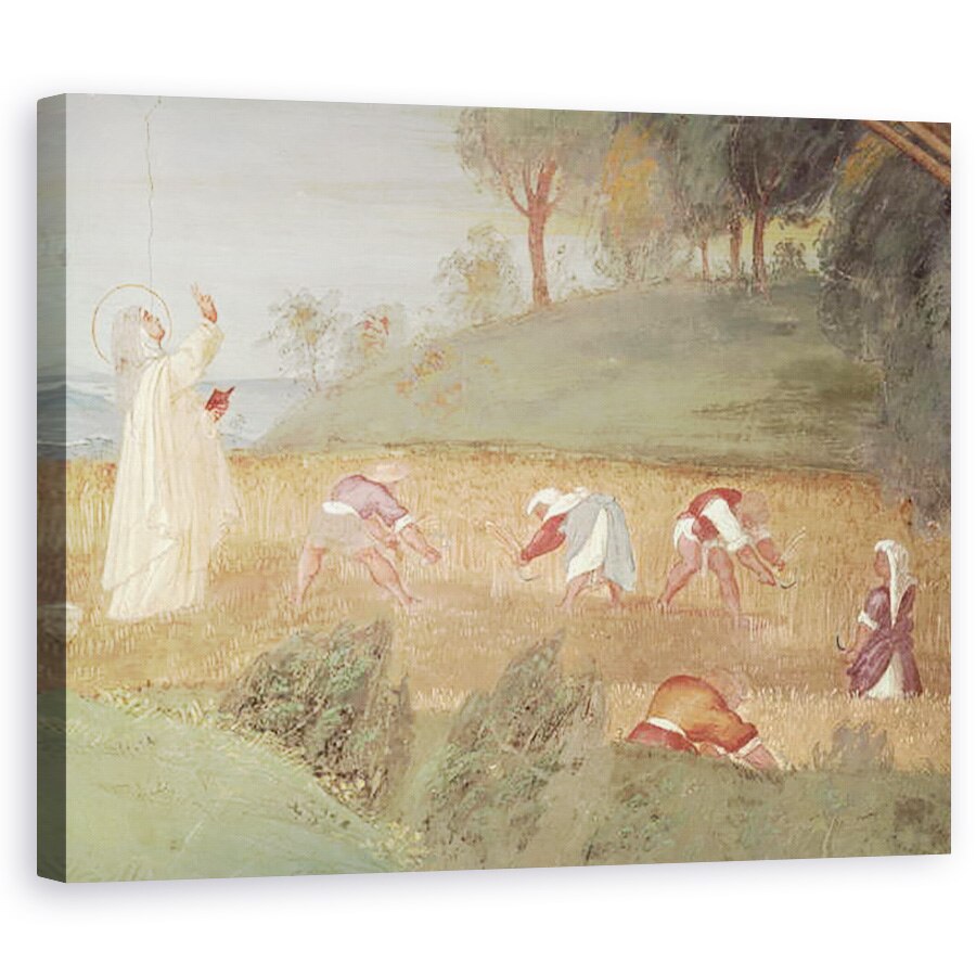 Tablou canvas - Lorenzo Lotto - Miracolele Sfintei Clare din Assisi, detaliu al Sfintei Clare binecuvantarea recoltei, 40 x 50 cm