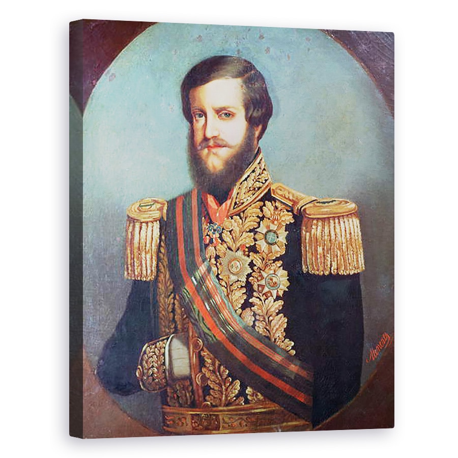 Tablou canvas - Luis de Miranda Pereira Visconde de Menezes - Pedro al II-lea 1825-91 imparatul Braziliei, 40 x 50 cm