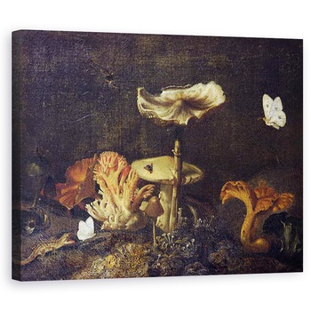 Tablou canvas - Otto Marseus van Schrieck - Natura statica cu ciuperci si fluturi, 60 x 75 cm Tablou canvas - Otto Marseus van Schrieck - Natura statica cu ciuperci si fluturi, 60 x 75 cm