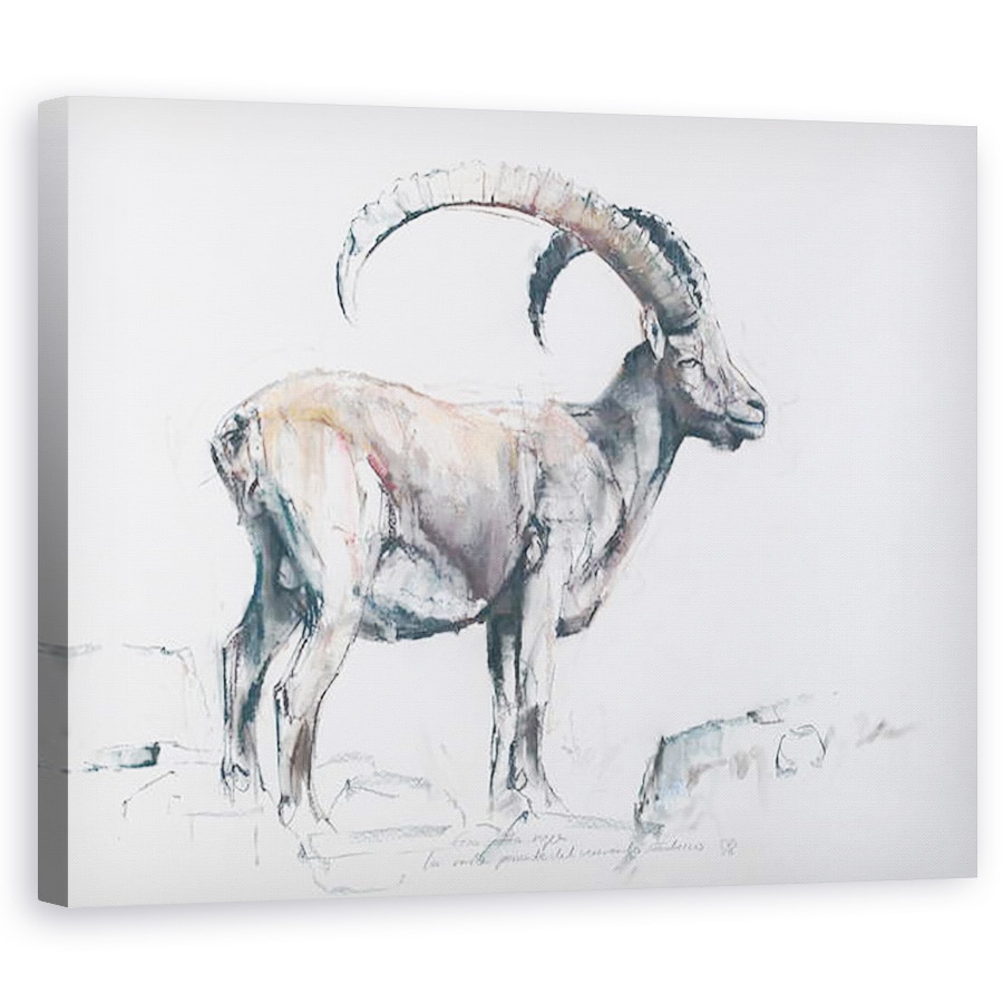 Tablou canvas - Mark Adlington - Venerando Stambecco, 60 x 75 cm