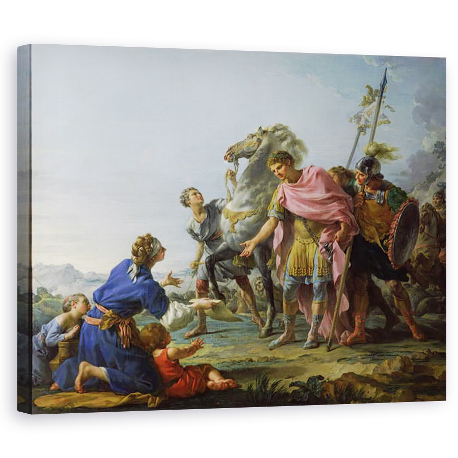 Tablou canvas - Noel Halle - Traian 53-117 Arata indurare, 60 x 75 cm