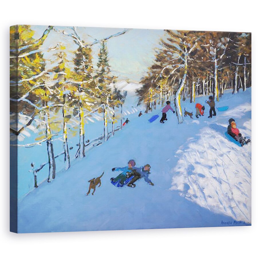 Tablou canvas - Andrew Macara - Familia sanie, Youlgreave, Derbyshire. 2016, 60 x 75 cm