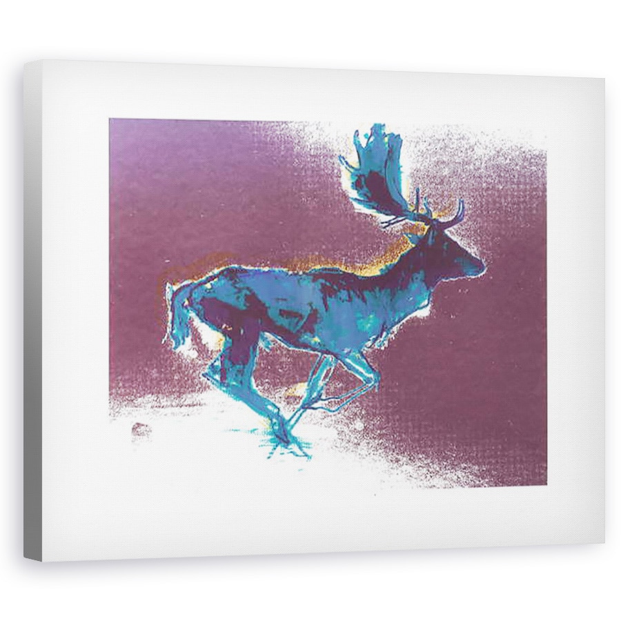 Tablou canvas - Mark Adlington - Fallow Buck albastru/umbra galbena, 2015, 40 x 50 cm