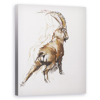 Tablou canvas - Mark Adlington - Stretch picior, 40 x 50 cm Tablou canvas - Mark Adlington - Stretch picior, 40 x 50 cm