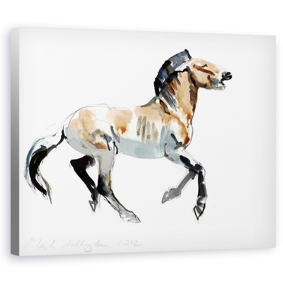 Tablou canvas - Mark Adlington - Greaca Przewalski, 2012, 40 x 50 cm