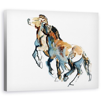 Tablou canvas - Mark Adlington - Gatul, 60 x 75 cm Tablou canvas - Mark Adlington - Gatul, 60 x 75 cm