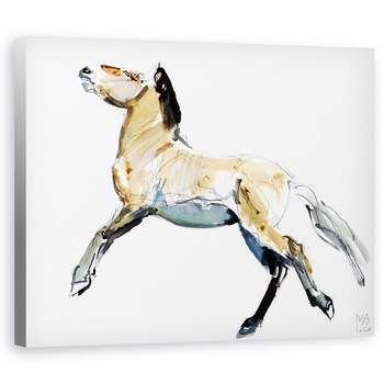 Tablou canvas - Mark Adlington - Gratuit Przewalski,2012, 40 x 50 cm Tablou canvas - Mark Adlington - Gratuit Przewalski,2012, 40 x 50 cm