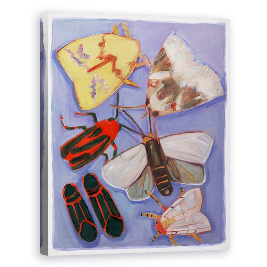 Tablou canvas - Megan Moore - Minnesota Molii & Box Batrani, 40 x 50 cm