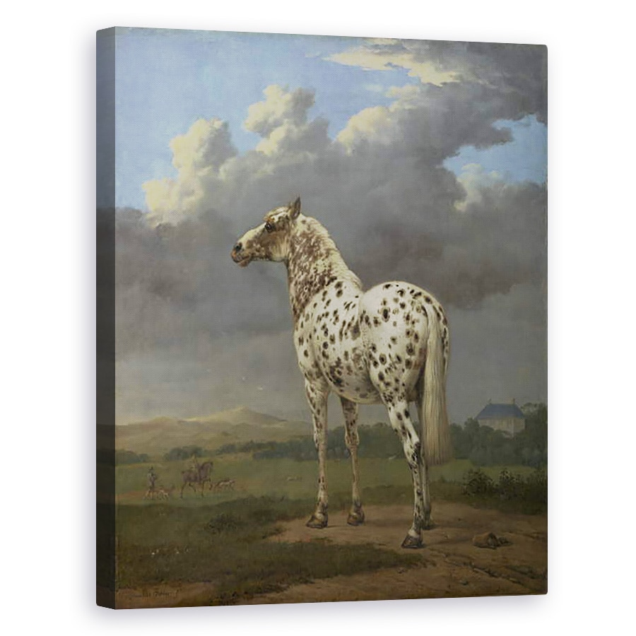 Tablou canvas - Paulus Potter - Calul Piebald, 40 x 50 cm