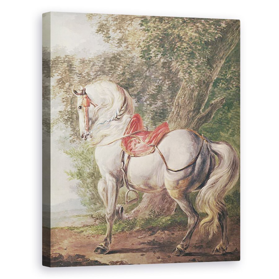 Tablou canvas - Philips Wouwermans - Un cal alb, 60 x 75 cm