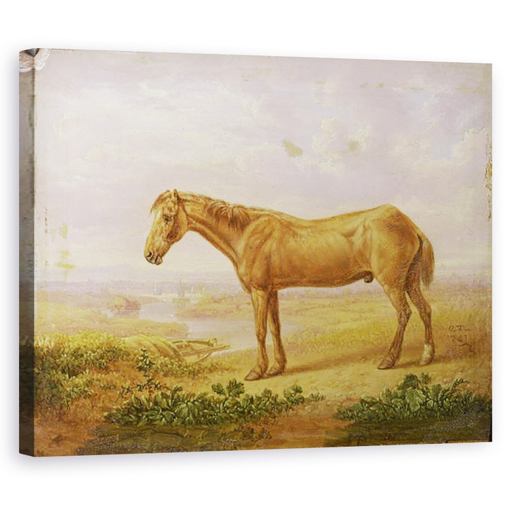 Tablou canvas - Charles Towne -Cal, Batranul Billy, 60 x 75 cm