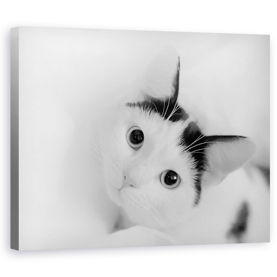 Tablou canvas - Ant Smith - Pisca, 2020, 60 x 75 cm